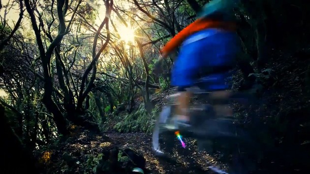 Volcanic summits give way to lush, tropical rainforests on La Isla Bonita