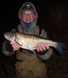 Sausage catches chub, barbel, carp - and other species too!