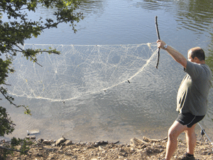 netting
