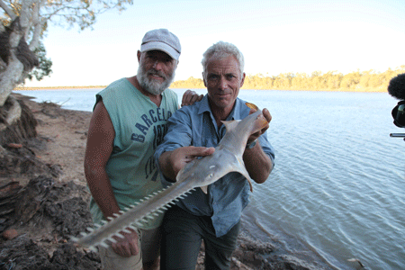 Jeremy and a local show a sawfish on the Fitzroy River.