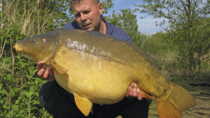 49mirror