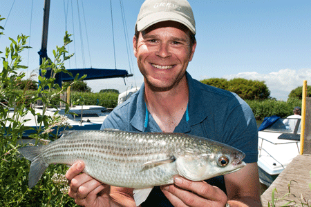 9. Get the formula right and you can expect bumper hauls of thin-lipped mullet. It can be arm-aching stuff, but definitely worth it!
Treat your catches with care. These handsome marine fish can thrash around on the bank, and a few shed scales are inevitable. Calm them down by covering their head with a damp towel and nurse them carefully in the water before releasing them. Don’t bother taking mullet home for the table – they have a muddy taste and it’s far more rewarding seeing them swim away to join their shoal mates.