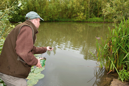 Deadly prebaiting
Prebaiting is a useful tool in summer, providing it is used correctly. It is particularly useful in very big waters with low stock densities, because it increases the frequency with which fish visit particular areas. But to make the most of it you need to try to predict how the fish will respond.
It works best over a period of several days or even weeks, and if bait can be introduced at the same time every day.
Where natural feeding spells are typically at dawn and dusk, bait introduced at mid-morning may not be found until the evening. By choosing a suitable time, and introducing bait on a daily basis, fish will build up a pattern of behaviour that ensures they are in the area anticipating the arrival of their daily feed.
It needn’t involve huge quantities of bait. A pint of micro-pellets or maggots sprinkled over gravel in the margins can have fish rooting around for hours, and done regularly will ensure fish visit frequently.
You will be able to tell by the appearance of the gravel whether fish have been in and fed, and you may even be able to watch the fish feeding.
A single bait introduced into the right area when the prebaiting has been carried out stands a good chance of picking up a fish.