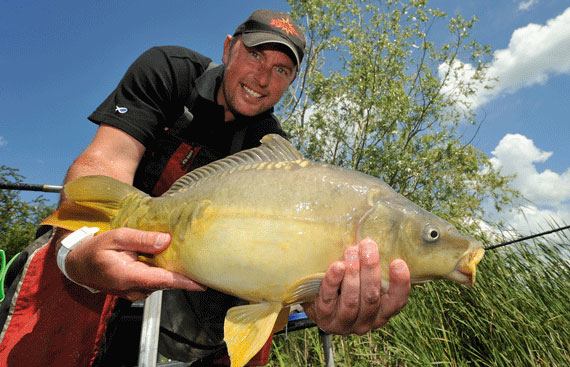 stevecollett