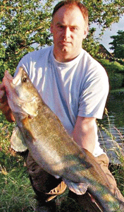 zander