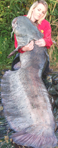 120lb