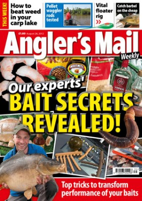 Be sure to read Angler's Mail magazine this week and every week for carp fishing advice, top tackle, news, venues... and lots, lots more. Only £1.80, on sale every Tuesday.