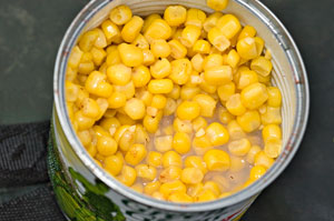 Sweetcorn has been my main hookbait, feeding small pellets.