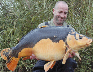 amazingcarp
