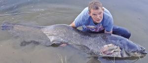 catfish
