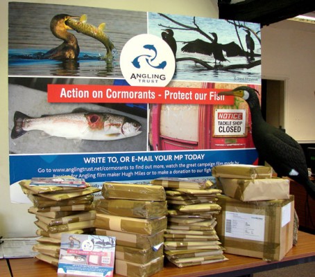 Mountain of mail - our cormorant campaign is gathering even more momentum.