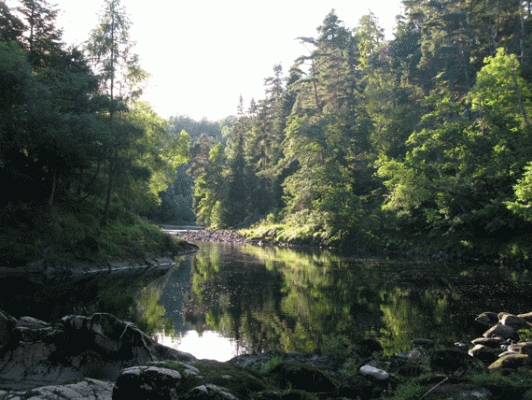 A trip here recharged my batteries. What a wonderful bit of river!