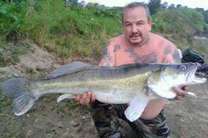 zander