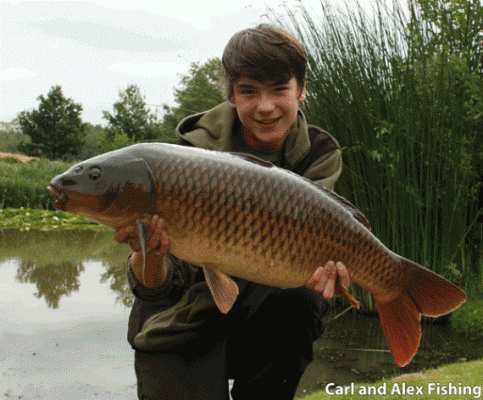 At long last, Carl nets his PB, a 20lb common