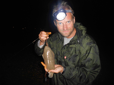 A Dover sole tempted on lugworm at night but would I have caught it without the camo jacket?