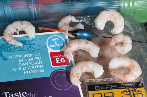 Charman-Prawns