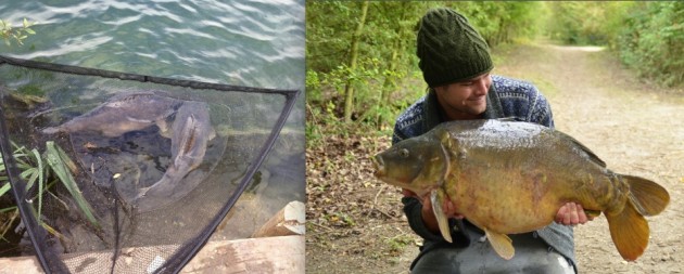 Lots of fish are continuing to be caught and I’ve been out and about too landing my target fish at over 40lb, which I have been after for over 2 years now. I’ve also managed a fantastic brace of thirties from a private water in Cambridge. Yes, two thirties in the same net. The winning tactic was hinged stiff rigs at range.