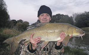 Barbel