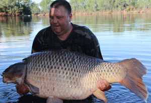 record common