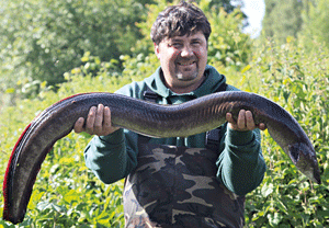 eel