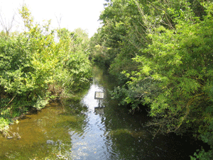 riverlee