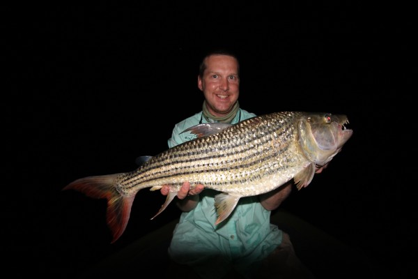 Stu Walker shows one of the giant tigerfish he caught in Zambia. Video below!