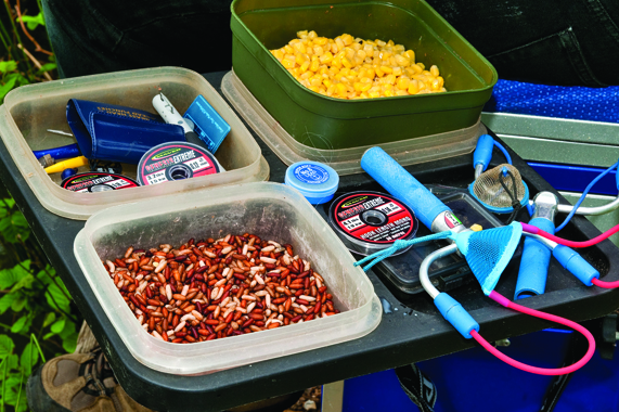 Although tench readily inhale large baits intended for carp, smaller baits that mimic their natural food menu can often yield more bites. Crunchy little casters are unbeatable tench tucker, as is hemp. They are also complete suckers for sweetcorn.
