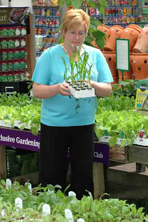 Gardeners are spending less on their plots