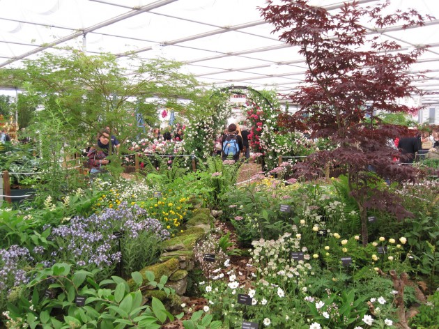 RHS Chelsea will have competition in 2012