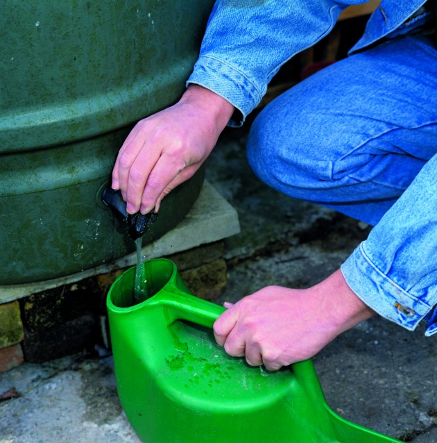 Gardeners have been advised to invest in more water butts