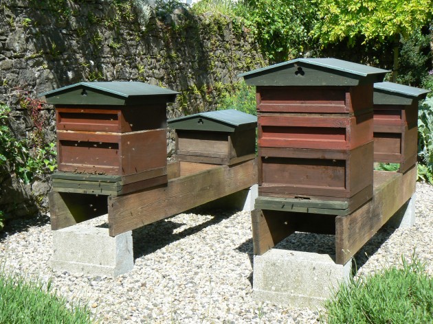 Bee hives should ideally be situated at ground level
