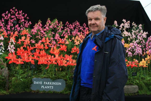 Dave Parkinson of Dave Parkinson Plants