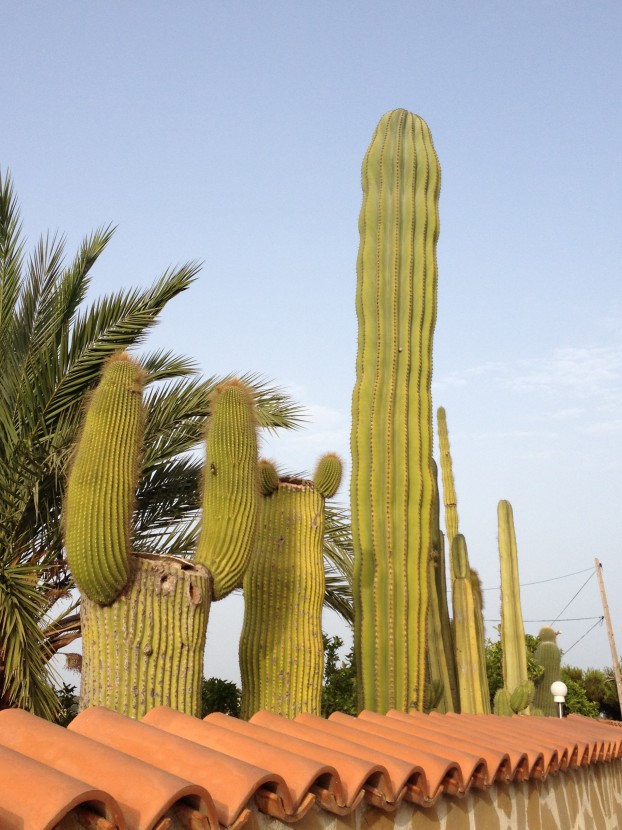 Gardeners will be able to see plants in their natural habitats