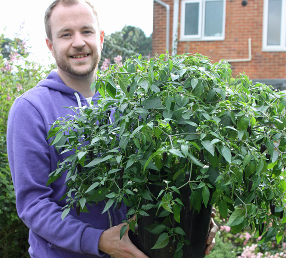 chilli blog