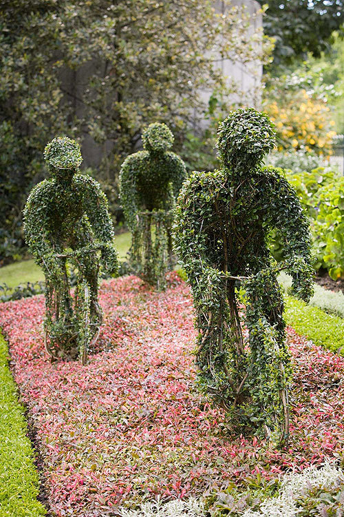 Royal Parks TdF flower bed