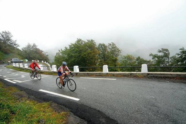 Pyrenees