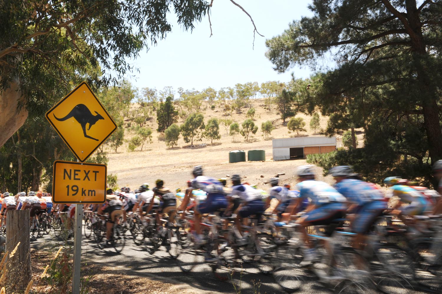 Kangaroo_sign_2010_Tour_Down_Under1.jpg