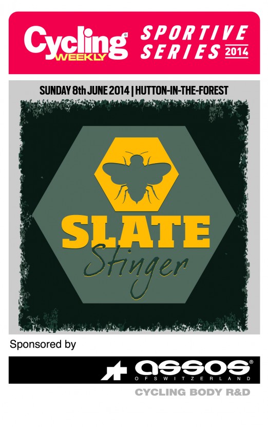 cw-sportive-series-slate-stinger