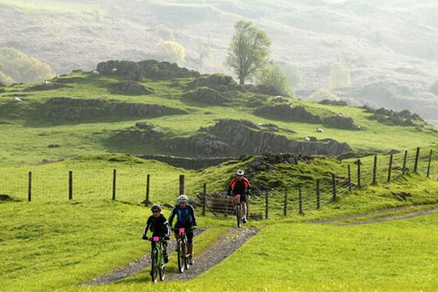 Grizedale Grizzly Adventure X 2014