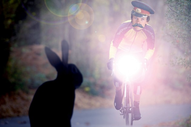 Dr.-hutch,-dark,-light,-rabbit