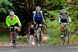 Sandown-Sportive
