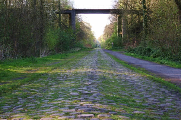 Cobbles in the Arenberg forest