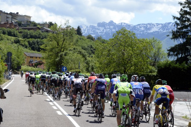The peloton on stage seventeen of the 2014 Giro d'Italia