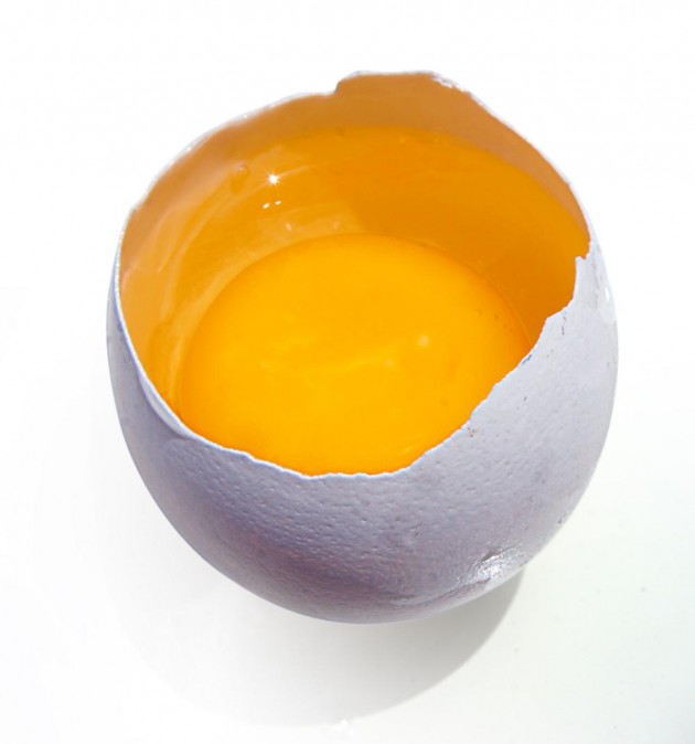 Protein
