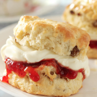 Fruited Scone