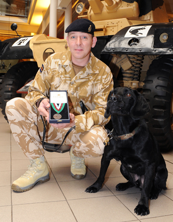 Treo, the arms and explosives search dog and winner of the 2009 Dickin Medal