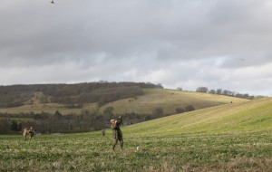 Pheasant shooting tips for a most enjoyable season