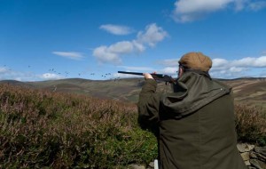 Grouse Shooting tips