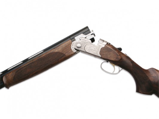 berettasilverpigeon-13