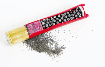 410 cartridge.jpg